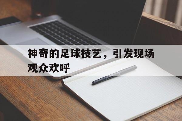 神奇的足球技艺，引发现场观众欢呼