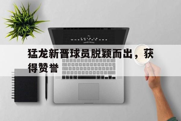 猛龙新晋球员脱颖而出，获得赞誉